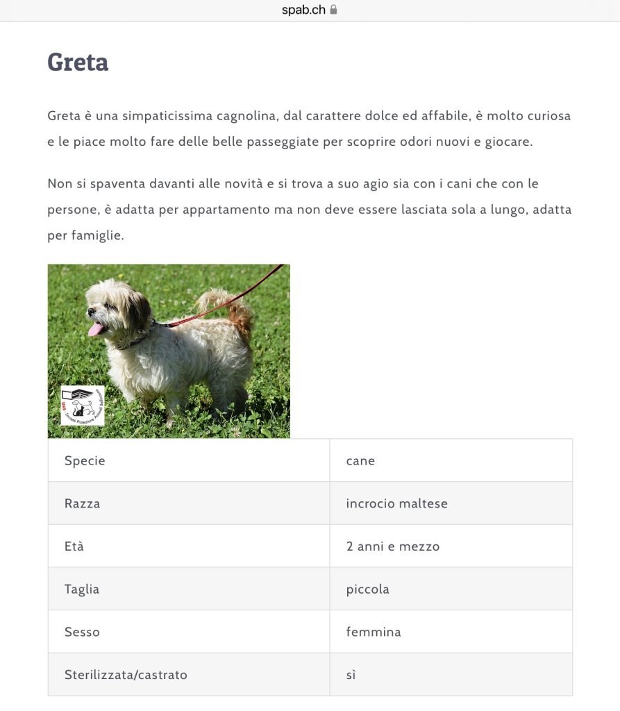 greta cerca casa spab