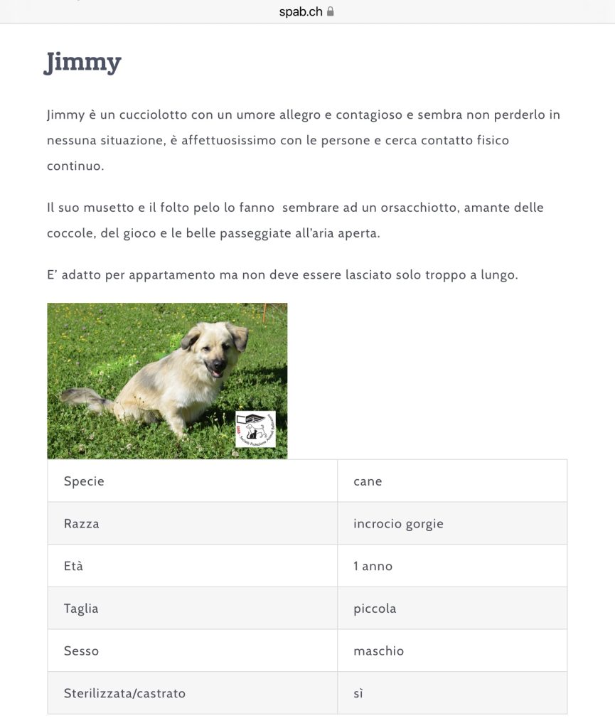 JIMMY CERCA CASA SPAB