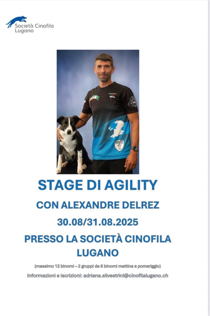 Stage agility SCL