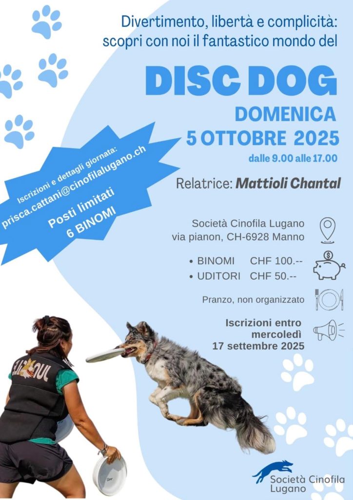 Stage DiscDog SCL