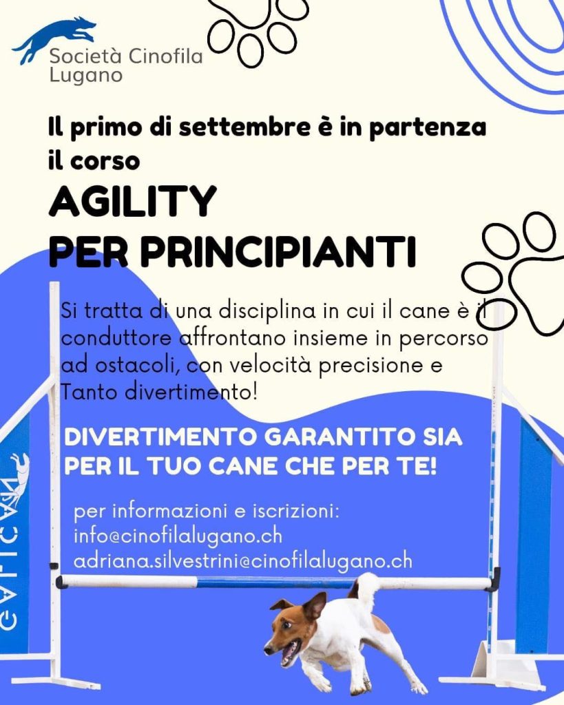Corso agility principianti SCL