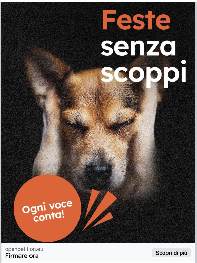 Iniziativi fuochi artificio