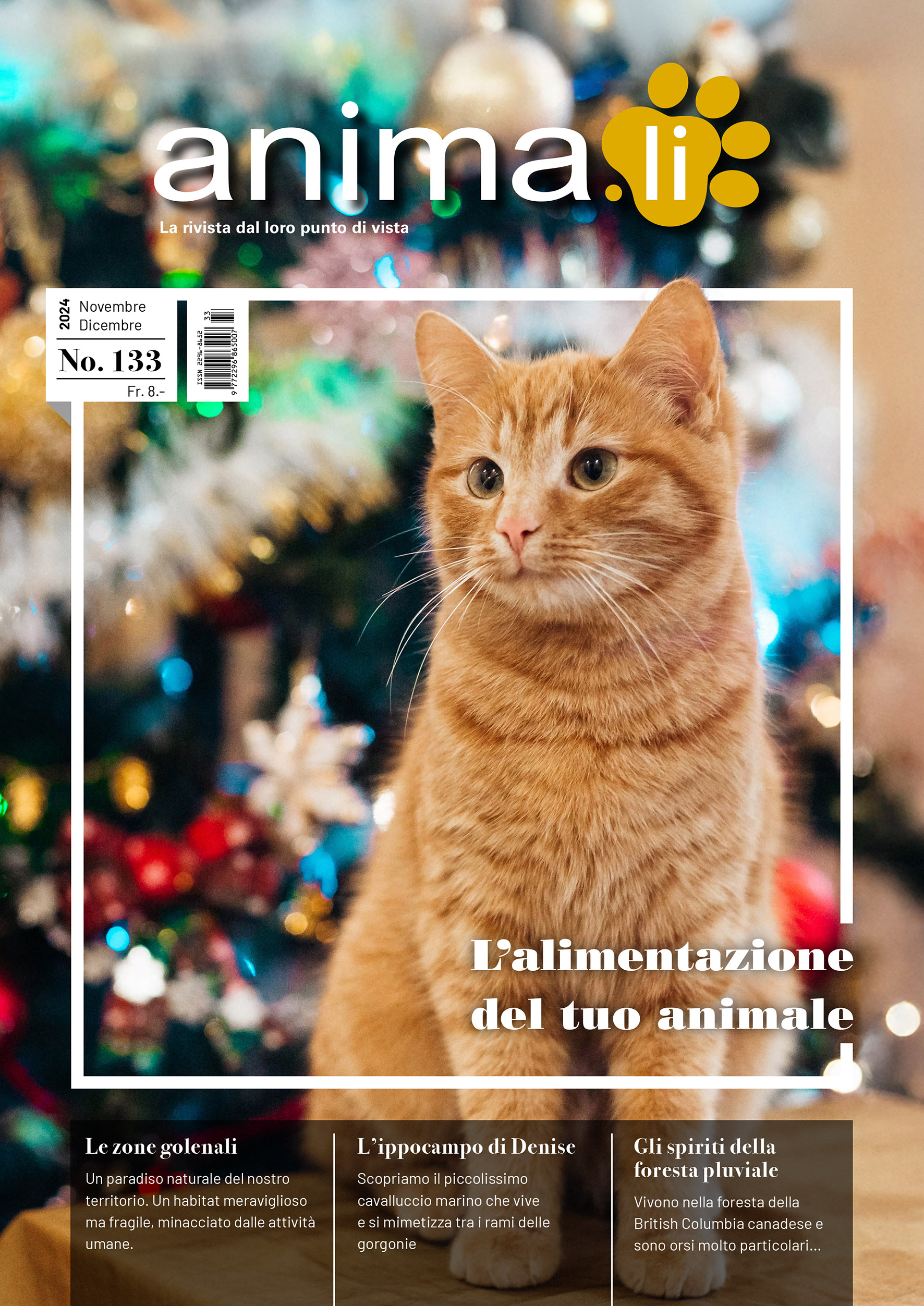 1780865676810-copertina133.jpg