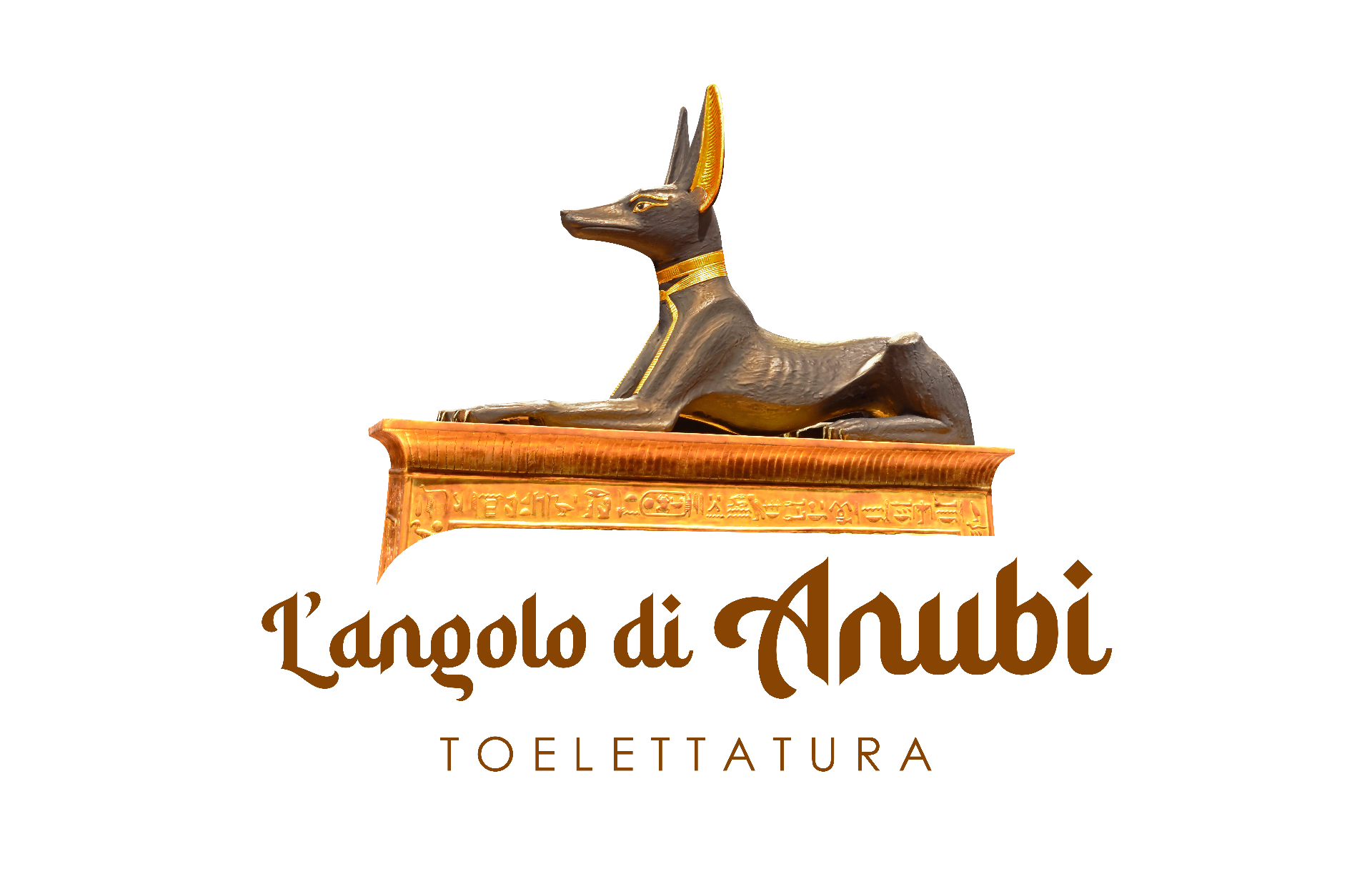 1787516560898-logo-anubi-vector-dpdqi7jc-copia.jpg